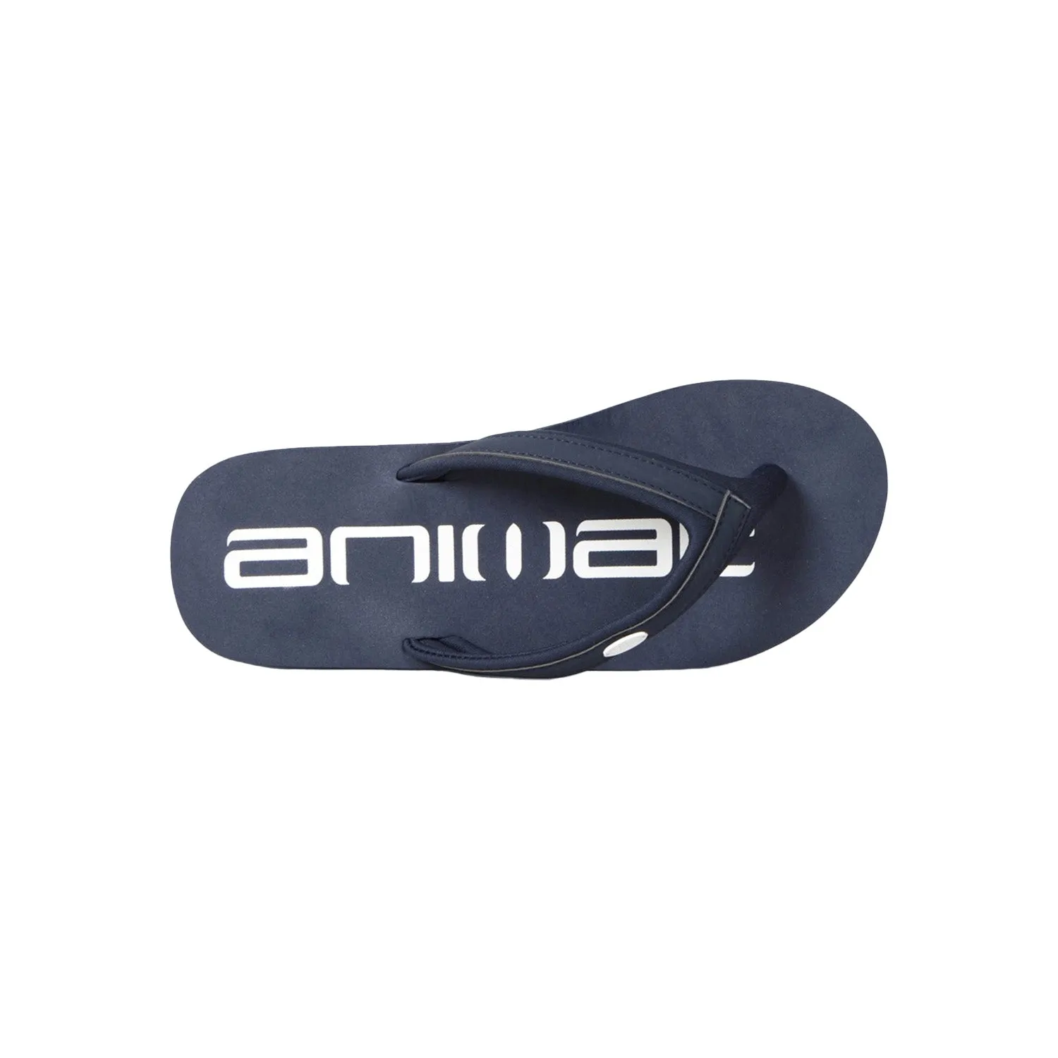 Animal Womens/Ladies Logo Recycled Flip Flops