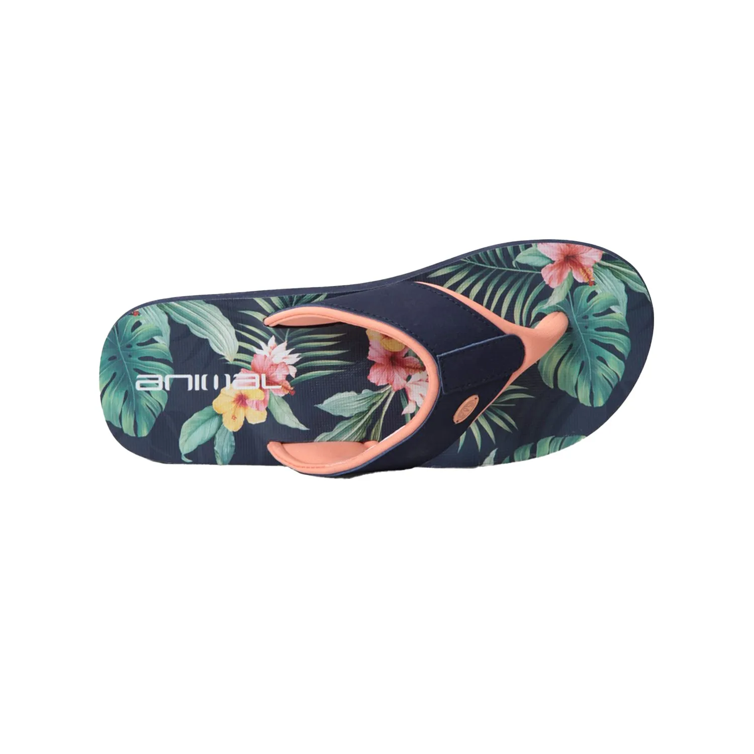 Animal Womens/Ladies Swish Recycled Flip Flops