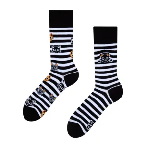 Cats & Stripes Black & White Regular Odd Socks