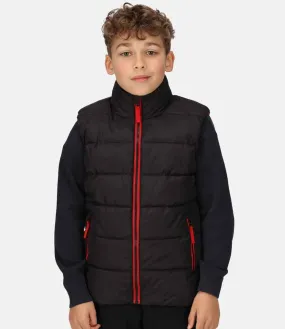 Regatta - Kids Scholar Thermal Bodywarmer