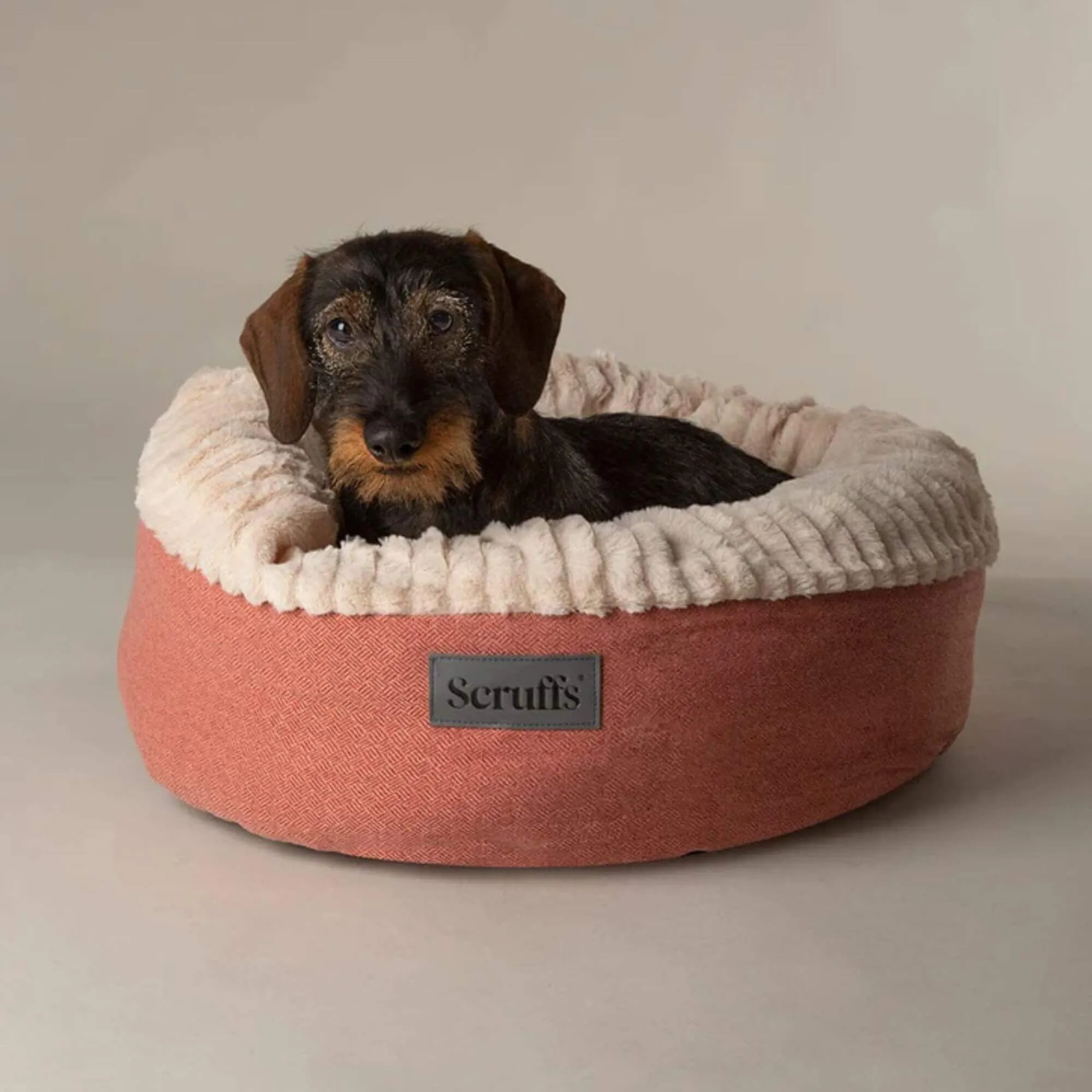 Scruffs Ellen Donut Pet Bed