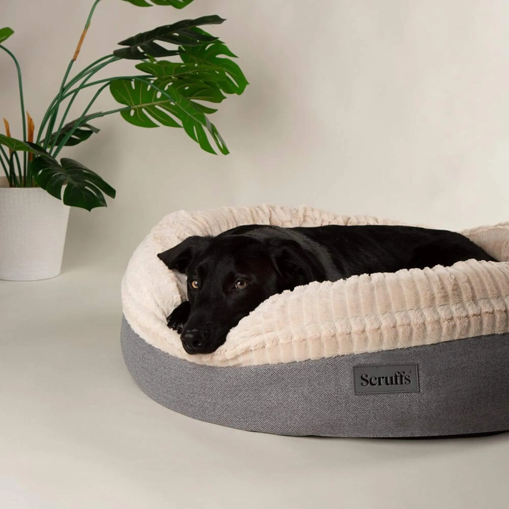 Scruffs Ellen Donut Pet Bed