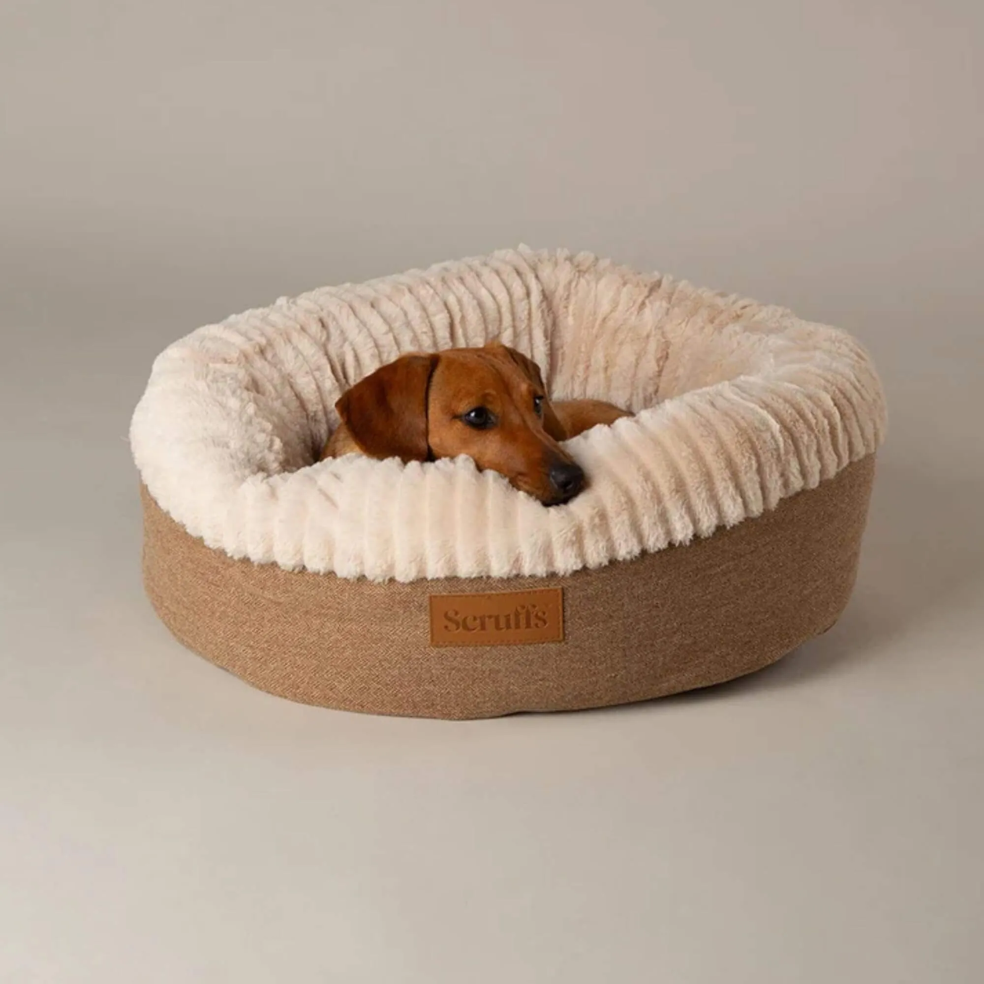 Scruffs Ellen Donut Pet Bed